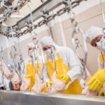 Redukcja etatu Niemcy Prawa Pracownika